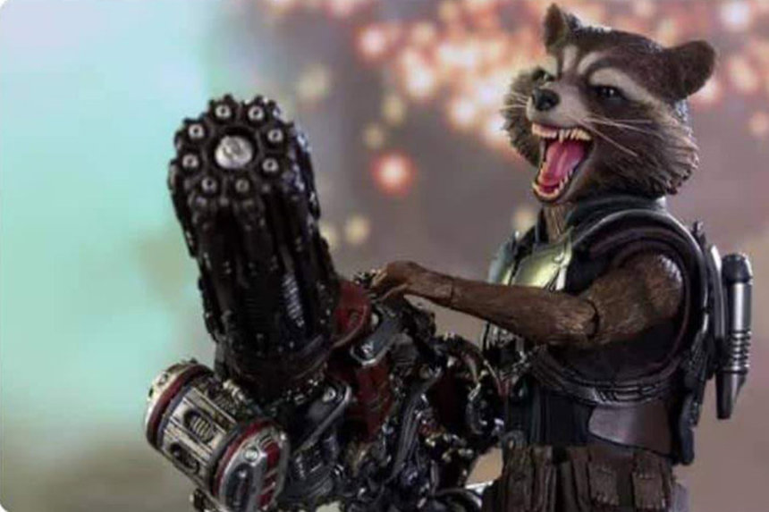 Новини Вінниці / Викрадений з Херсону єнот вкусив за пальці зрадника Сальдо