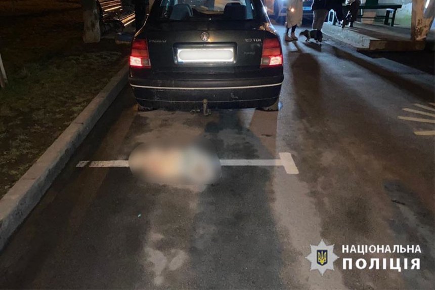 Новини Вінниці / У дворі вінницької багатоповерхівки знайшли тіло собаки. Місцеві припускають, що песика викинули з вікна 