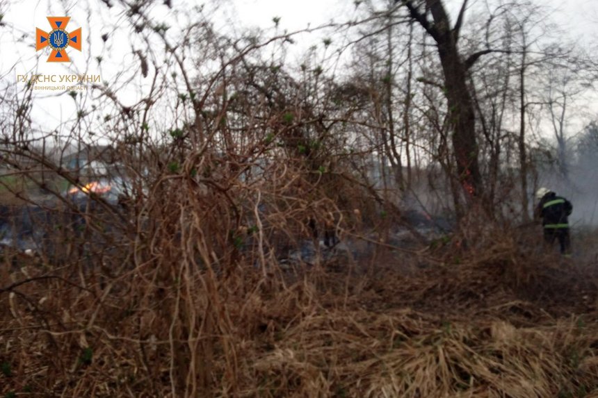 Новини Вінниці / Через підпал очерету на Вінниччині ледь не загинула дитина