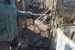 Новини Вінниці / Вінничанин облаштував гноєсховище поруч з річкою. Чи змінить людина ставлення до оточуючих після сплати штрафу?