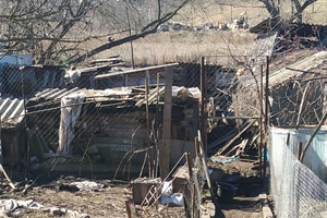 Новини Вінниці / Вінничанин облаштував гноєсховище поруч з річкою. Чи змінить людина ставлення до оточуючих після сплати штрафу?