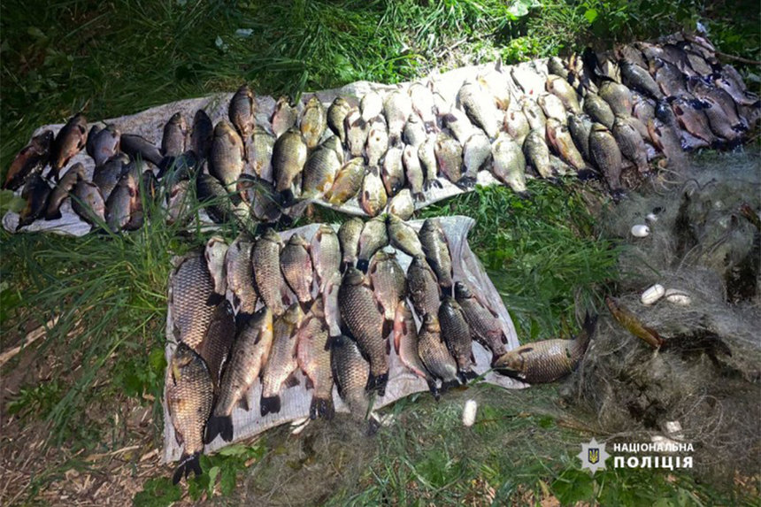 Новини Вінниці / Сітками ловив рибу: на Вінниччині затримали чоловіка з уловом на 150 тисяч гривень