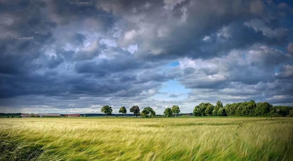 610957a1dc504 screenshot 1 %281%29