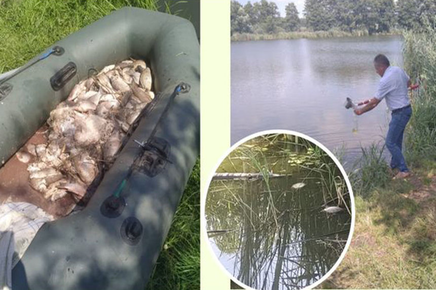 Новини Вінниці / Поблизу Вінниці у ставку виявили мор риби: спеціалісти шукають отруйну речовину