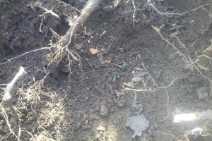 Новости Винницы и области / На Вінниччині знайшли скарб бронзових виробів культури Ноуа / Інформаційний портал На Париже Новини Вінниці / На Вінниччині знайшли скарб бронзових виробів культури Ноуа