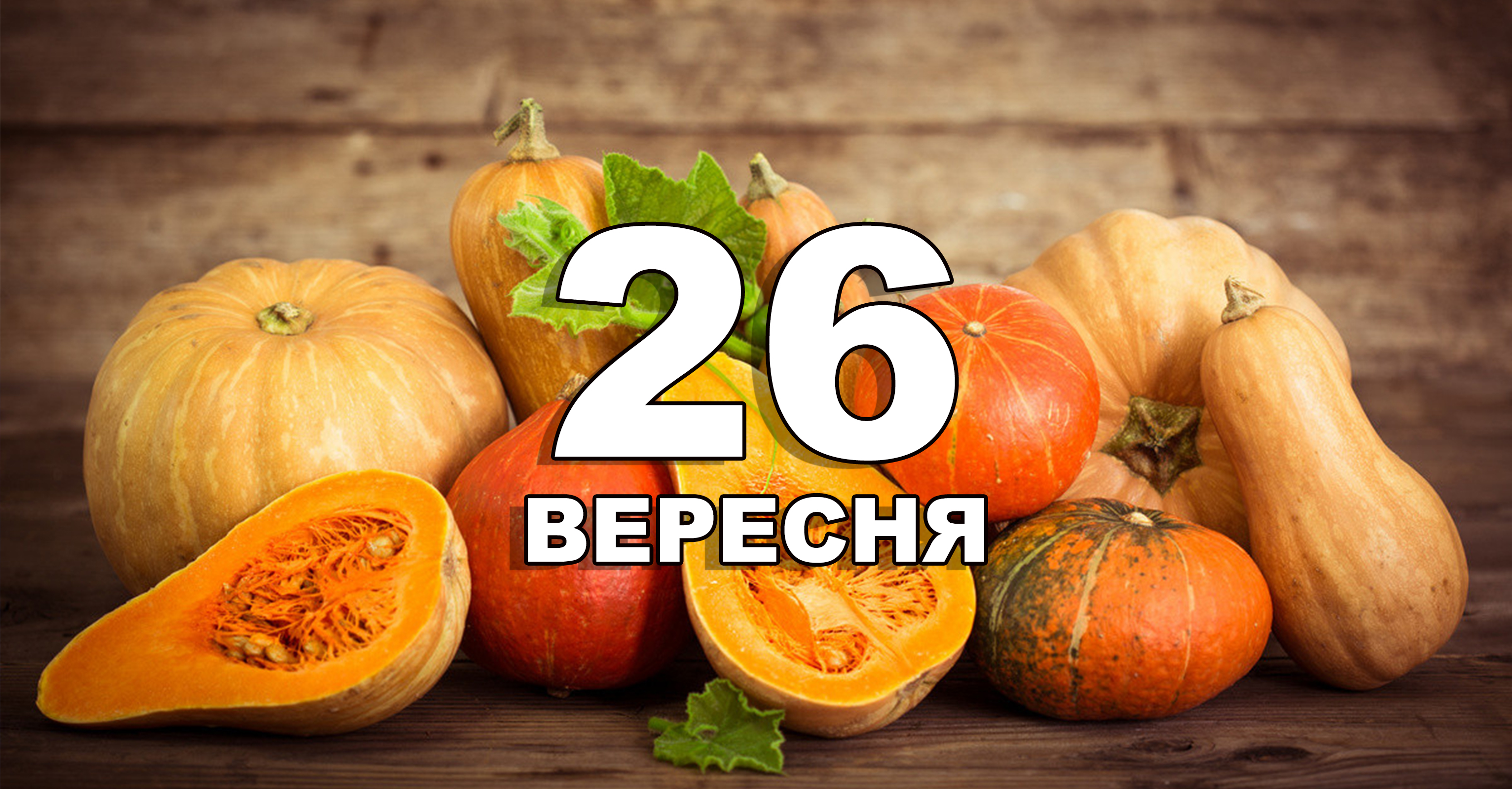 %d0%a8%d0%b0%d0%b1%d0%bb%d0%be%d0%bd %d0%ba%d0%be%d0%bf%d1%96%d1%8f