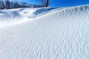 Новости Винницы и области / На Вінниччині вітер створив Антарктиду у мініатюрі / Інформаційний портал На Париже Новини Вінниці / На Вінниччині вітер створив Антарктиду у мініатюрі