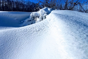 Новости Винницы и области / На Вінниччині вітер створив Антарктиду у мініатюрі / Інформаційний портал На Париже Новини Вінниці / На Вінниччині вітер створив Антарктиду у мініатюрі