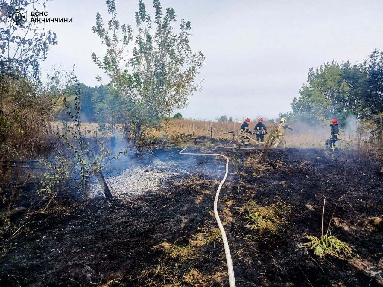 Новини Вінниці / На Вінниччині в пожежах загинуло двоє людей