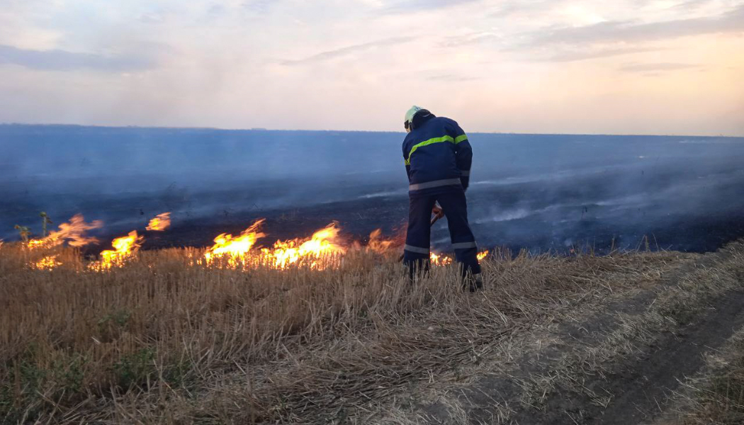 Новини Вінниці / На Вінниччині внаслідок пожежі обпалено майже три гектари ґрунту