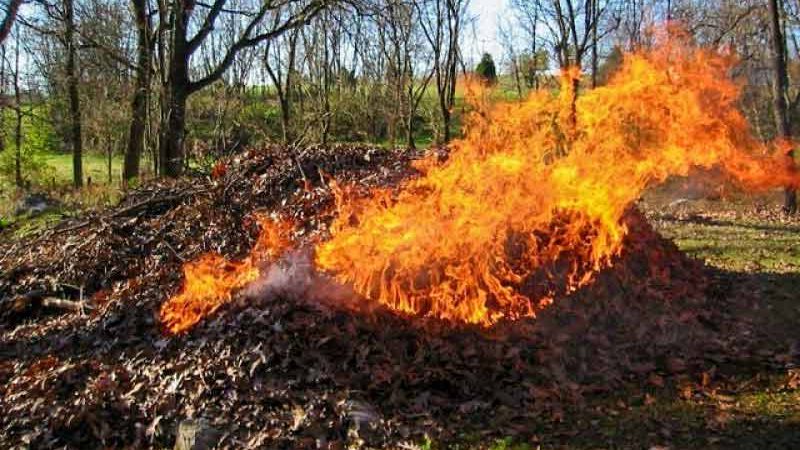 Новини Вінниці / Вінничанам нагадують про заборону спалювання сухої рослинності