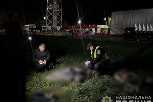 Новини Вінниці / В поліції повідомили подробиці сметельної ДТП неподалік Писарівки (ВІДЕО)