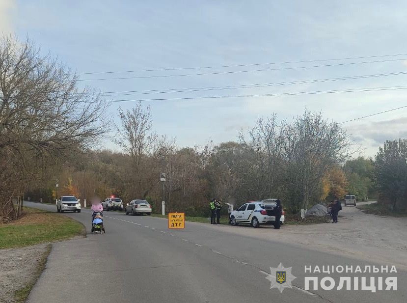 Новини Вінниці / На Вінниччині під колеса автомобіля потрапила 8-річна дівчинка
