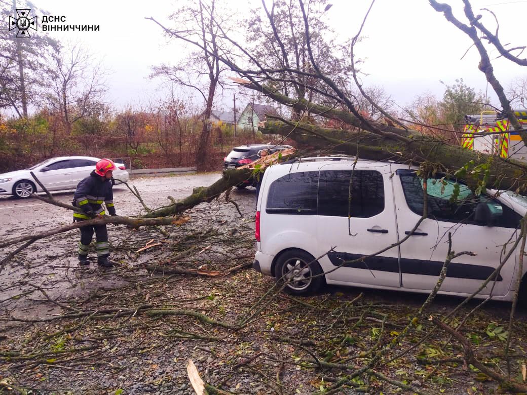 Вітер повалив дерева.