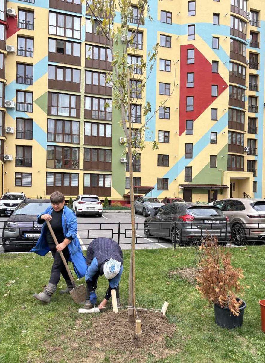 Новини Вінниці / У Вінниці на прибудинкових територіях висадили пів тисячі саджанців дерев 