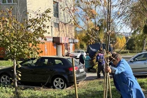 Новини Вінниці / У Вінниці на прибудинкових територіях висадили пів тисячі саджанців дерев 