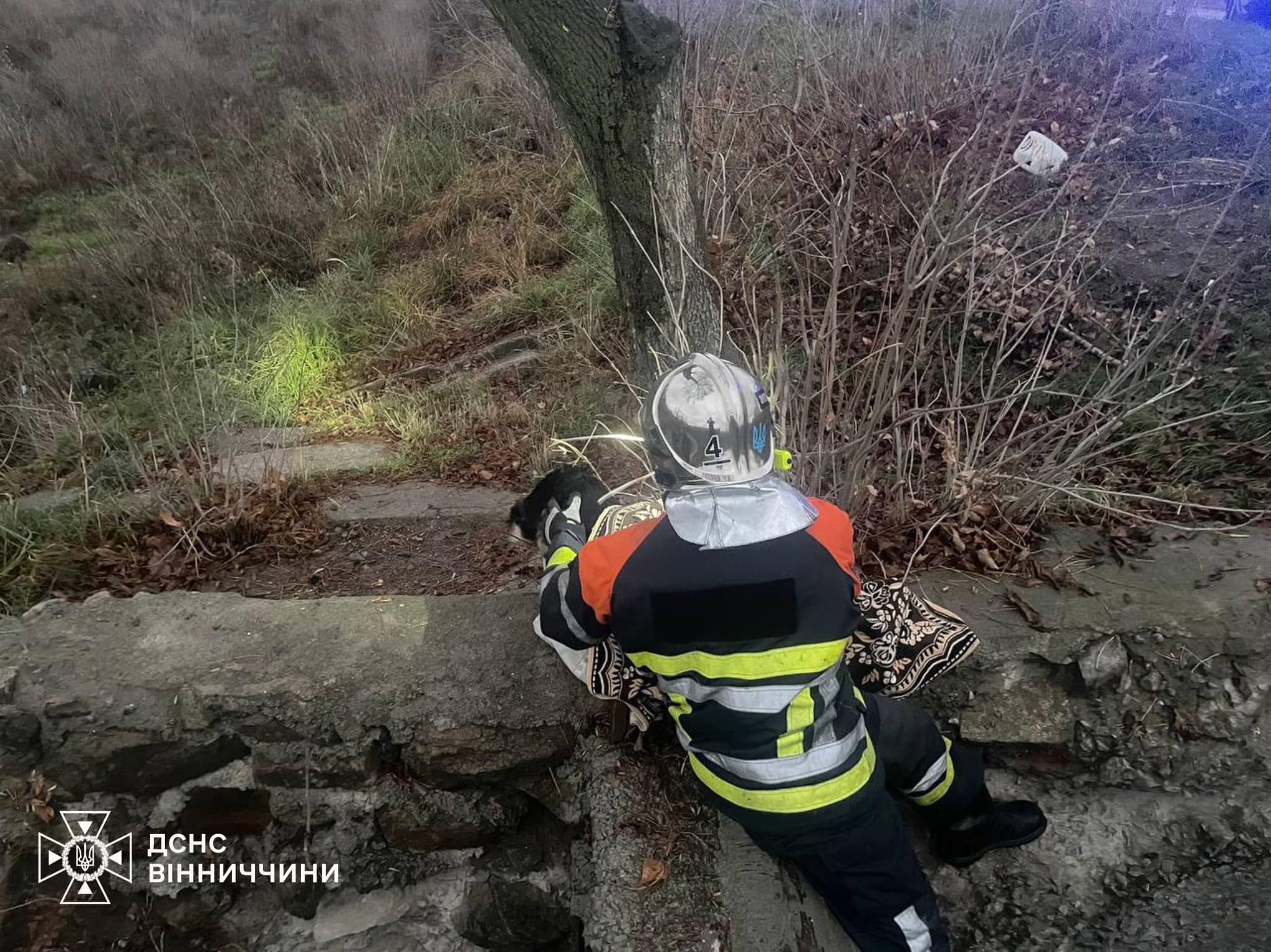 У Вінниці рятувальники врятували собаку, який вже понад кілька годин знаходився в ямі глибиною майже три метри / Новости Винницы и области / Інформаційний портал На Париже Новини Вінниці / У Вінниці рятувальники врятували собаку, який вже понад кілька годин знаходився в ямі глибиною майже три метри