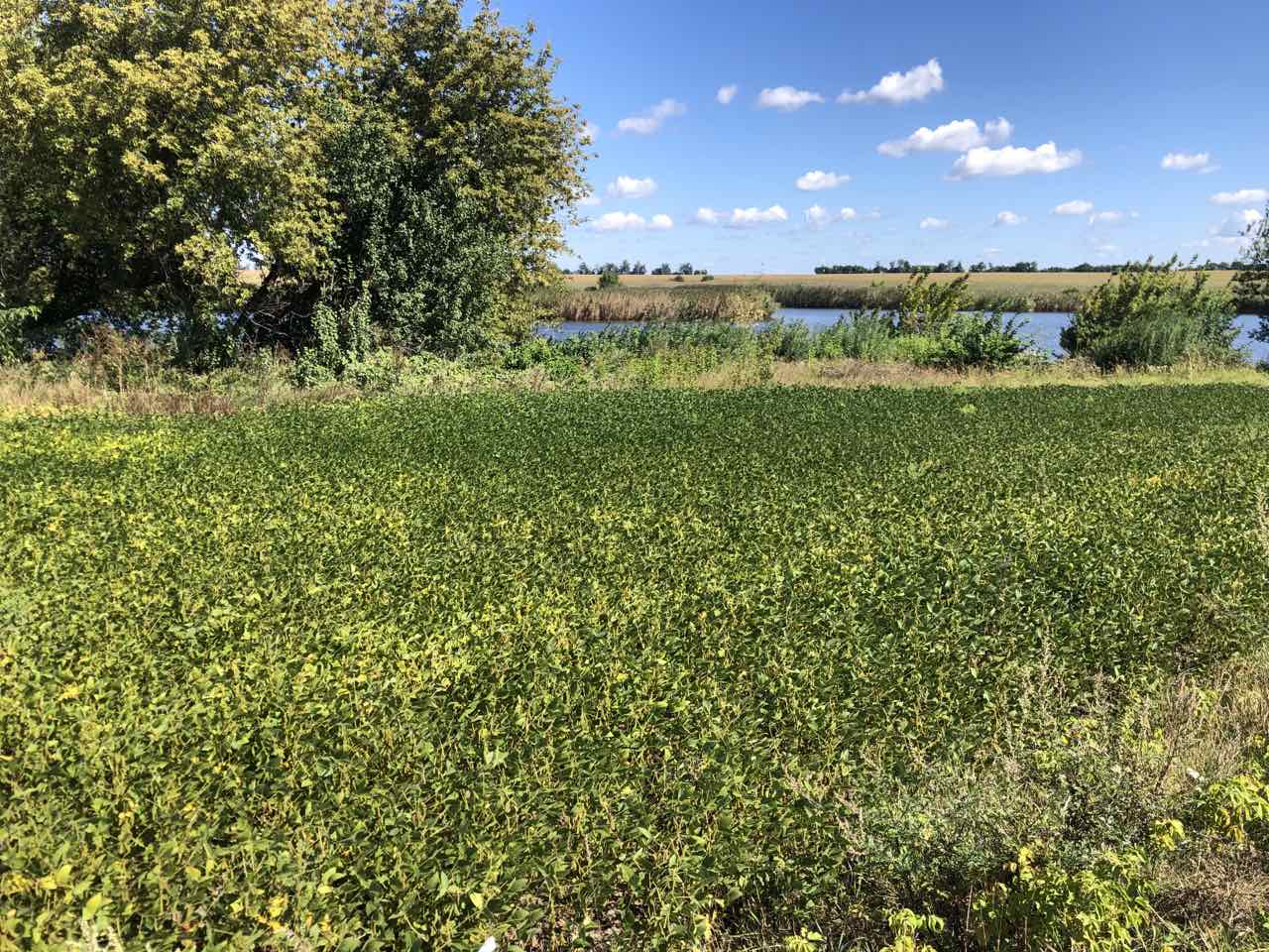 Земля.