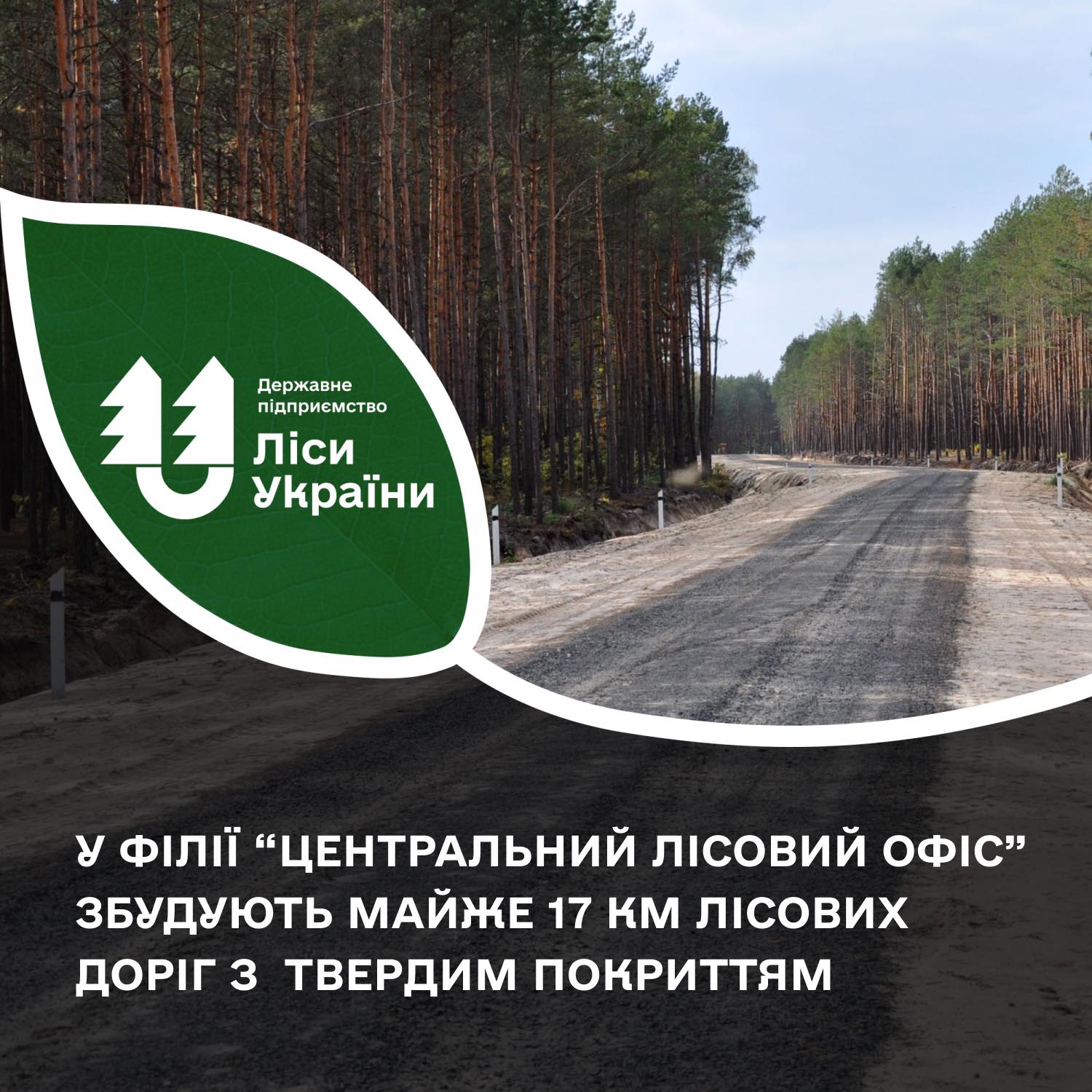 Новини Вінниці / На Вінниччині збудують майже  5,6 км лісових доріг з твердим покриттям