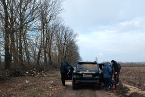 Новини Вінниці / У лісовій смузі на Вінниччині зрубали 51 дерево