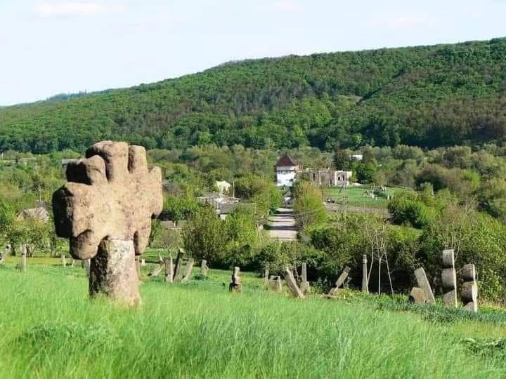 Гора над заповідником Буша.