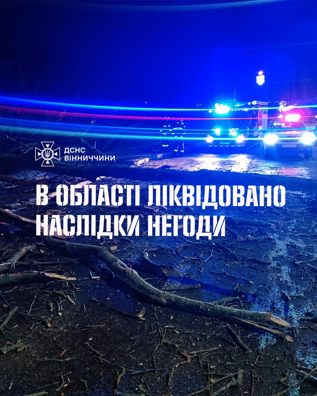 Новини Вінниці / Негода на Вінниччині: сильний вітер повалив дерева на автошляхи