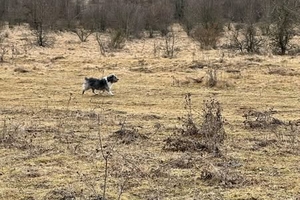 Новини Вінниці / Пошуки тривали всю ніч: на Вінниччині знайшли 3-річного Остапа Майданюка