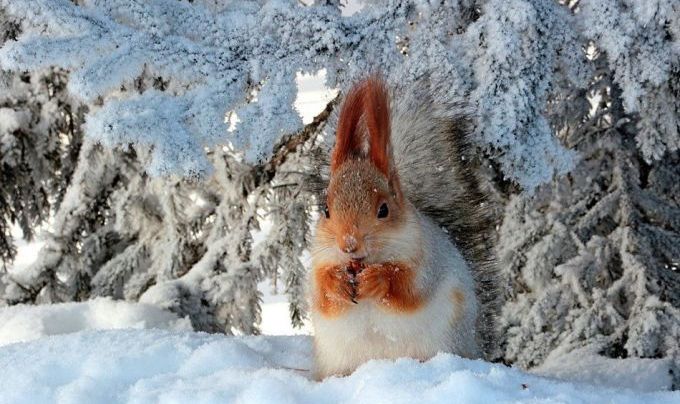 Лютий на Вінниччині.