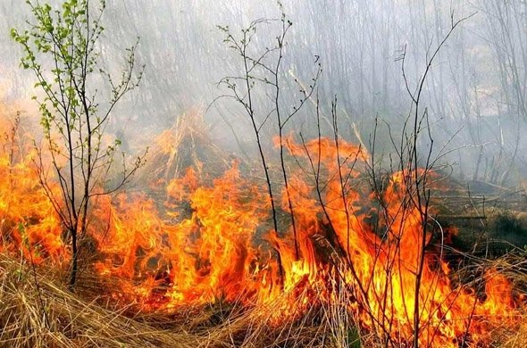 Новини Вінниці / У Вінниці почали працювати мобільні групи з протидії спалюванню сухостою