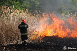 Новини Вінниці / У Вороновиці та Медвежому Вушці рятувальники гасили масштабні пожежі 