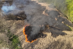 Новини Вінниці / У Вороновиці та Медвежому Вушці рятувальники гасили масштабні пожежі 