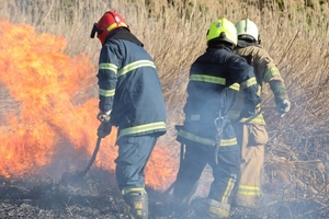 Новини Вінниці / У Вороновиці та Медвежому Вушці рятувальники гасили масштабні пожежі 