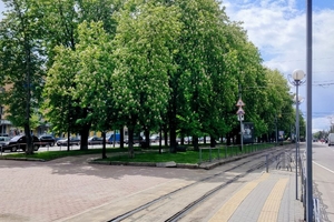 Новини Вінниці / Бульвар Пирогова у Вінниці тепер буде без суцільної огорожі