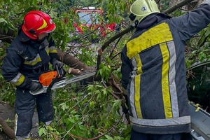 Новини Вінниці / На Вінниччині рятувальники відкачували воду із затоплених будівель та прибирали повалені дерева