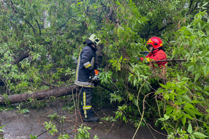 Новини Вінниці / На Вінниччині рятувальники відкачували воду із затоплених будівель та прибирали повалені дерева