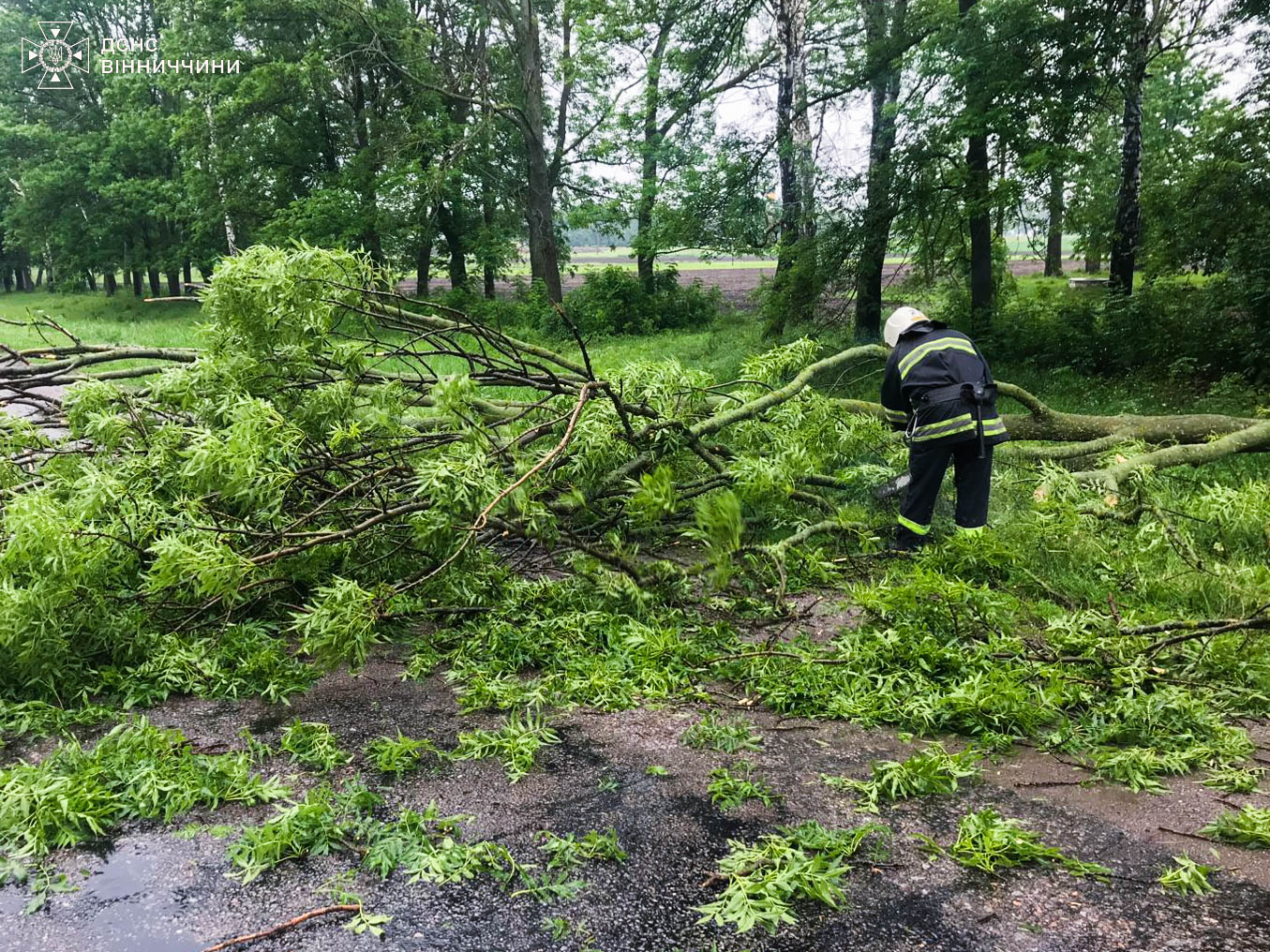 Новини Вінниці / На Вінниччині рятувальники відкачували воду із затоплених будівель та прибирали повалені дерева