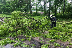 Новини Вінниці / На Вінниччині рятувальники відкачували воду із затоплених будівель та прибирали повалені дерева