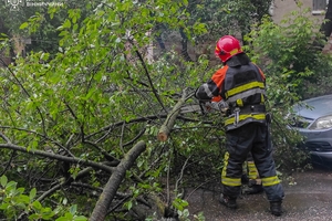Новини Вінниці / Негода на Вінниччині: рятувальники ліквідовували наслідки сильного вітру та дощу
