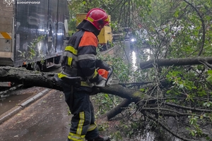 Новини Вінниці / Негода на Вінниччині: рятувальники ліквідовували наслідки сильного вітру та дощу