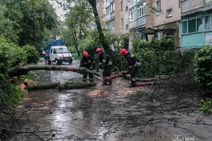 Новини Вінниці / Негода на Вінниччині: рятувальники ліквідовували наслідки сильного вітру та дощу