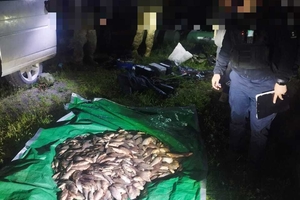 Новини Вінниці / Риболовля електровудками на Вінниччині призвела до збитків в понад 1 млн грн