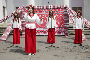 Новини Вінниці / У Вінниці до Дня вишиванки провели заходи для зміцнення національної ідентичності та ментального здоров‘я