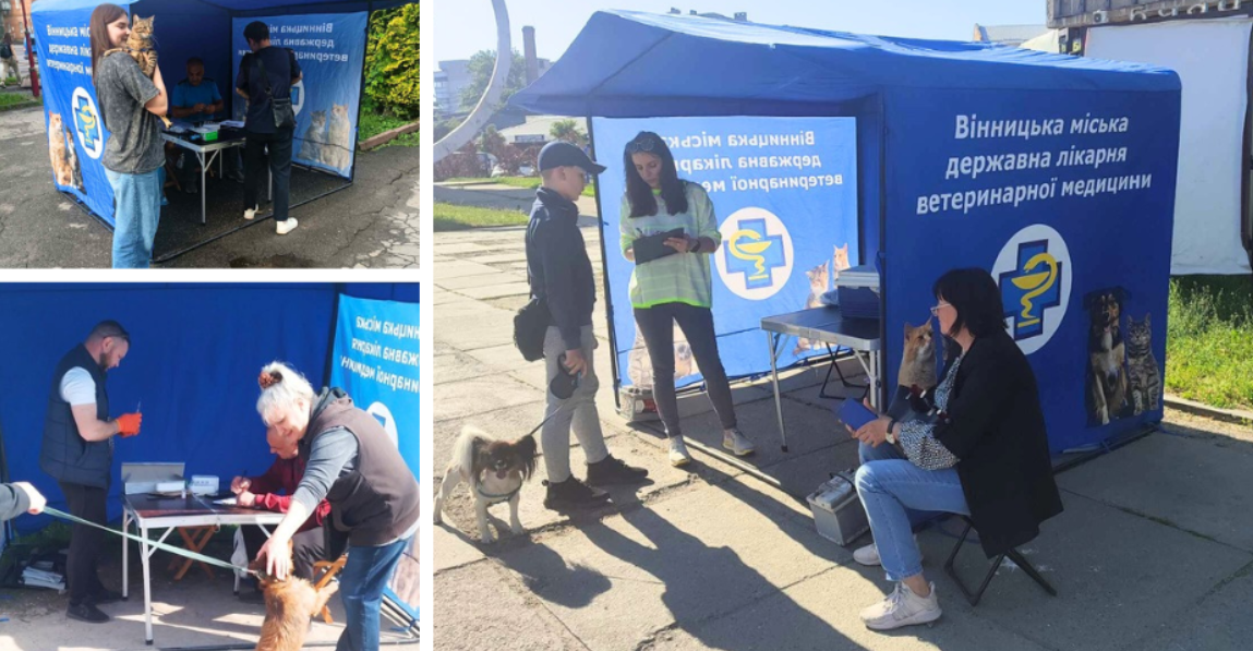 Новини Вінниці / У Вінниці розпочалася кампанія з вакцинації домашніх тварин від сказу: де і коли можна отримати щеплення