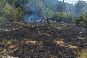 Новини Вінниці / 13 пожеж за добу: ДСНС закликає не нехтувати правилами пожежної безпеки 
