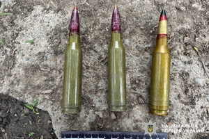 Новини Вінниці / На Вінниччині чоловік знущався з матері та накинувся з гранатою на поліцейських