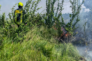 Новини Вінниці / На Вінниччині сталося 11 пожеж за добу 
