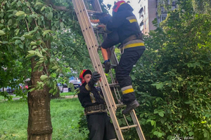 Новини Вінниці / У Вінниці рятувальники зняли з високої черешні 7-річного хлопчика
