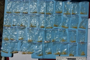Новини Вінниці / У Вінниці затримали 42-річного наркозакладчика  