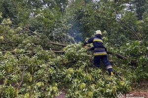 Новини Вінниці / Другу добу поспіль на Вінниччині підрозділи ДСНС ліквідовують наслідки негоди  