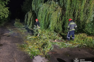 Новини Вінниці / Другу добу поспіль на Вінниччині підрозділи ДСНС ліквідовують наслідки негоди  